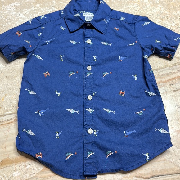 Carter’s Button Down Shirts 3T - Picture 6 of 9
